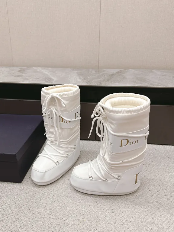 Dior Shoe 